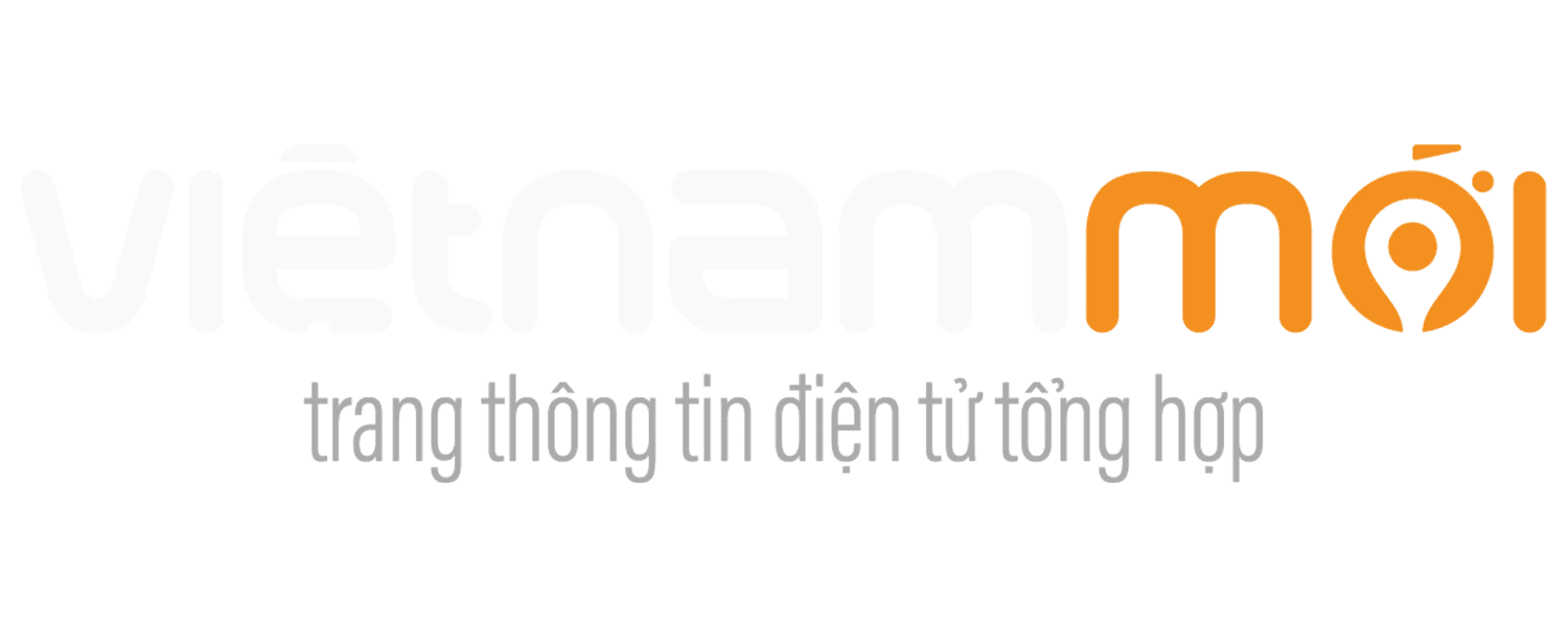 vietnammoi logo